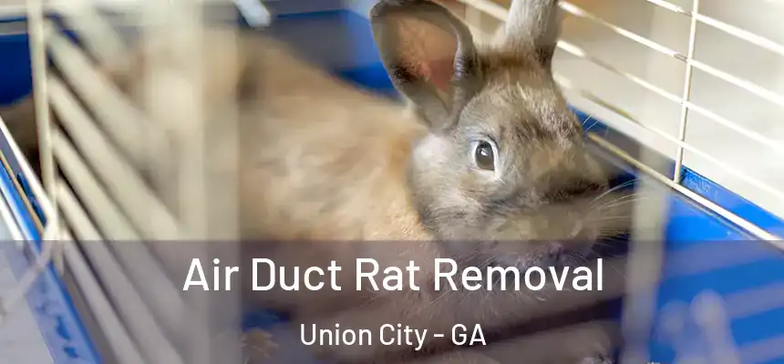  Air Duct Rat Removal Union City - GA