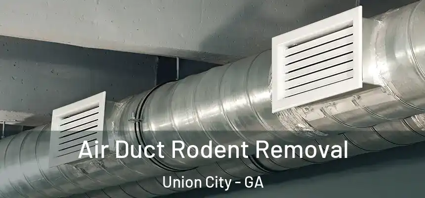  Air Duct Rodent Removal Union City - GA