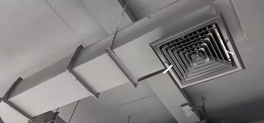 Our Pest Removal From Ducts Services in Union City, GA