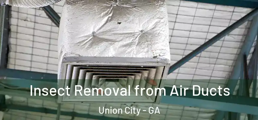  Insect Removal from Air Ducts Union City - GA