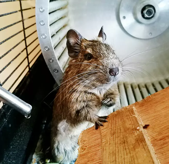 Why Homeowners & Businesses Trust Us Union City, GA?