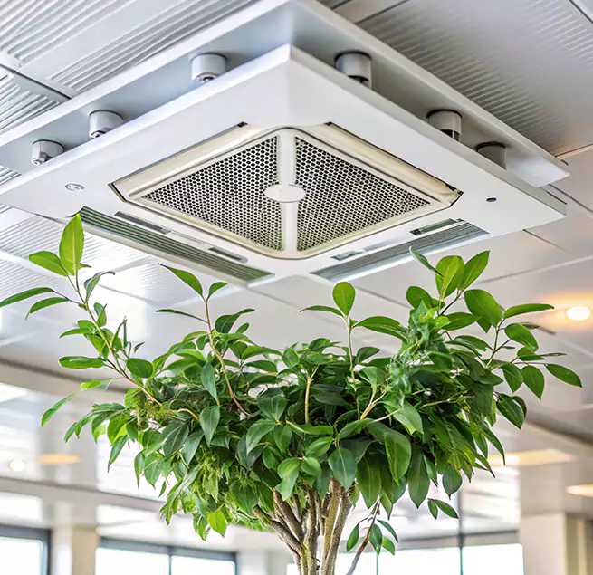 Why Homeowners & Businesses Trust Us in Union City, GA?