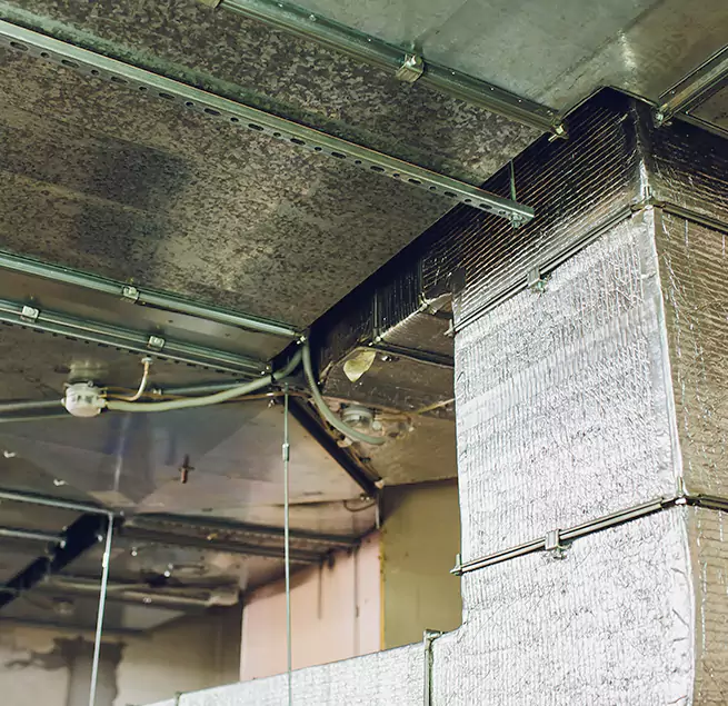 Why Homeowners & Businesses Trust Us in Union City, GA?